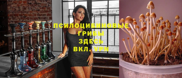 MESCALINE Алзамай